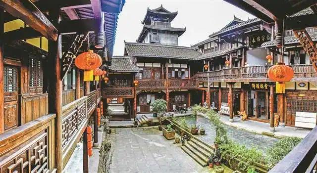 拯救小松鼠